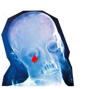 极品欧美大波波
