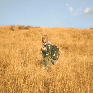 极品欧美大波波
